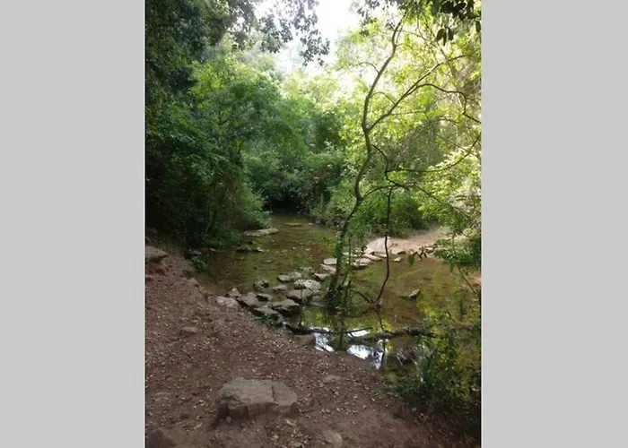 Estudio En El Centro *